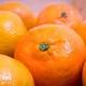 SNACK IN THE BOX Pojemnik na przekąski ORANGE