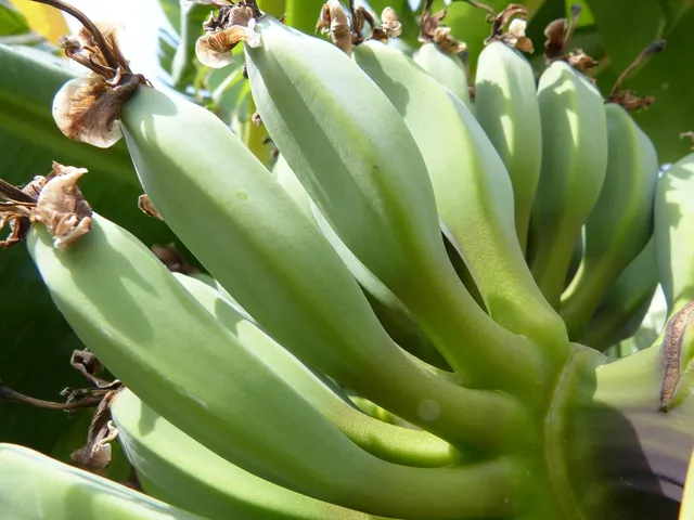 MAMUKO Puree owocowe BIO banan śliwka