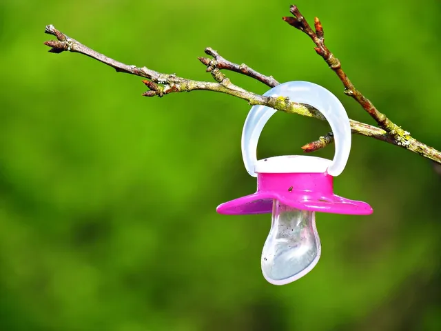 Natursutten Smoczek rozmiar S anatomiczny tarczka motyl