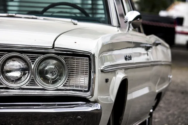 aden+anais Kołderka muślinowa METALLIC SILVER DECO DANDELION